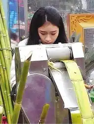 甘蔗西施网络走红系上海戏剧学院学生