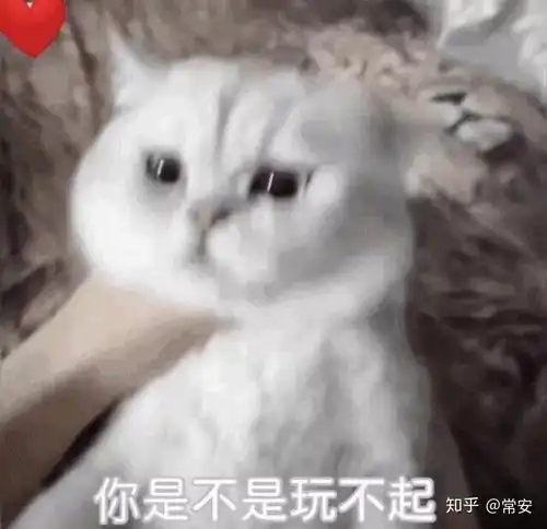 哥哥不喜欢妹妹,怎么办
