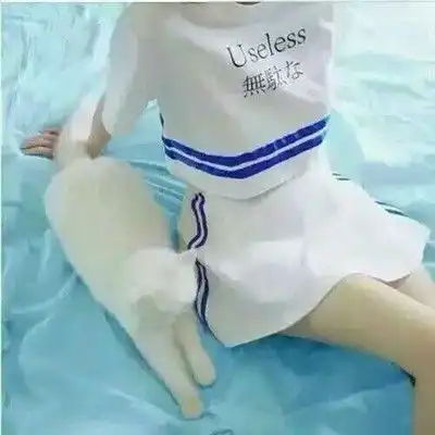 qq群头像霸气超拽女生待我狠下心你连狗都不是