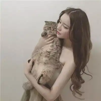 关于抱猫美女头像可爱清纯2018美女抱猫咪的头像图片