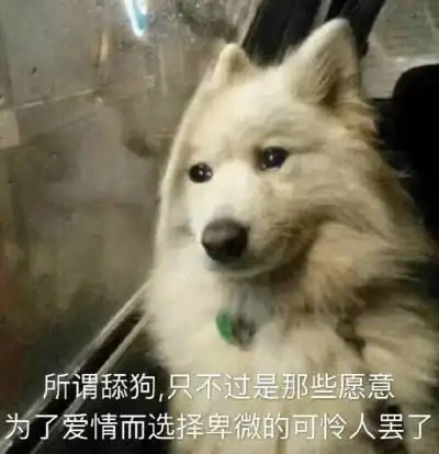 十二星座中谁不会当舔狗快来看看你有没有在名单上