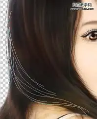 photoshop矢量手绘教程精细的真实美女转手绘