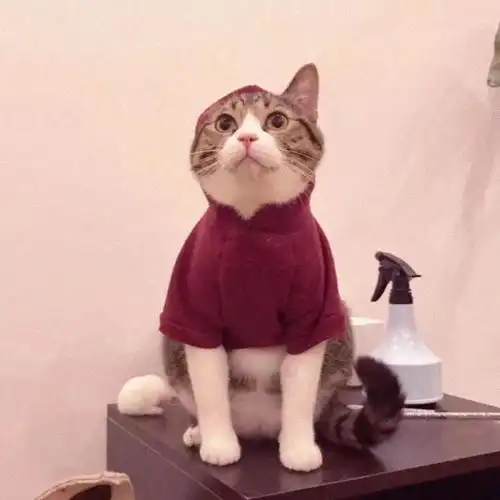 宝贝该换微信头像啦