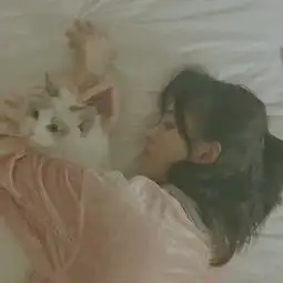 关注