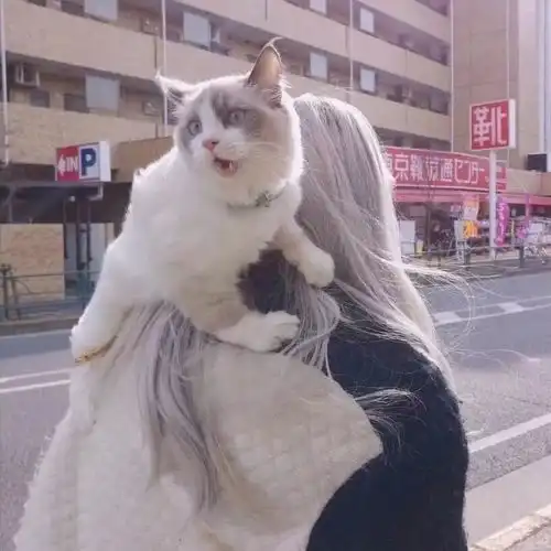 女生头像先说爱的人先不爱