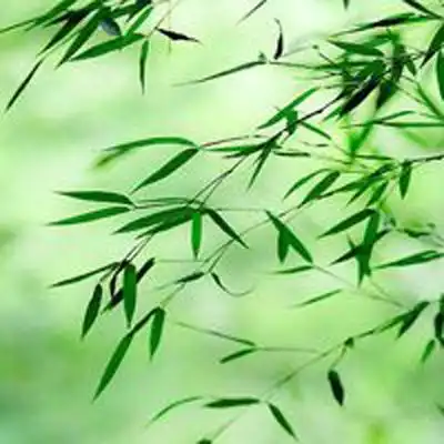 可乐在线2注册登录