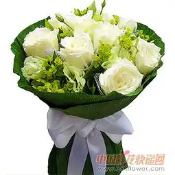 天使爱恋