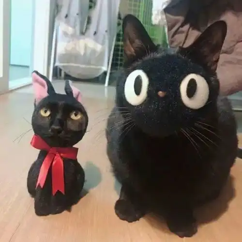 男人都是大猪蹄子