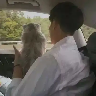 99留学生都忽略了这项求职技能