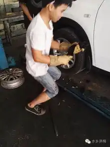 洪梅一女士开车时总听到猫叫,汽修厂花了一个小时终于
