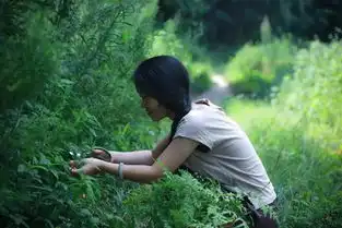 90后女生只花6万就建了300㎡洋房,过上了避世隐居的小日子