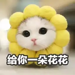 装扮室界,点亮生活最美宿舍评比大赛开始了