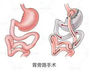 怎么样才算是科学减肥,每个人的标准都不一样