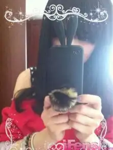 杨幂内带兔子耳朵的手机什么牌子的