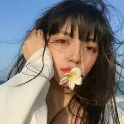 加加上网导航远海的侦探天美七雄诗意游戏名字