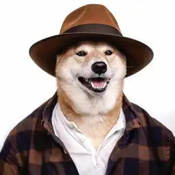 柴犬帅出新高度,登上封面当男模