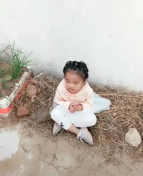 一家三口回老家过节,女儿却玩失踪,在鸡窝找到女儿时妈妈无语了