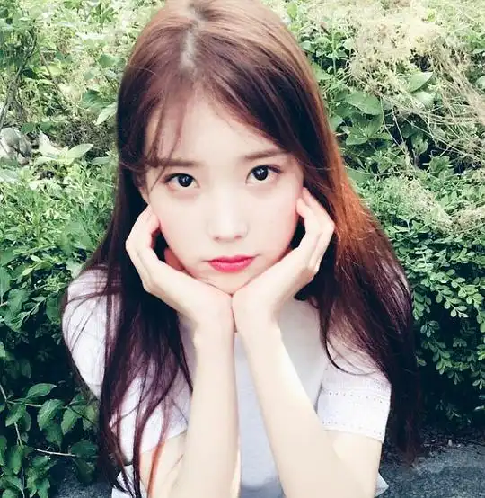 桃李春风一杯酒的相册美人如花隔云端