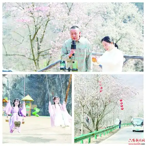 以春之名共赴花事