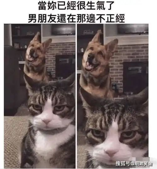 接吻时男生的手为什么乱动的呢女生反感吗哈哈哈,神评绝了
