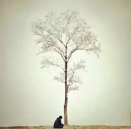 大气,是种人格魅力