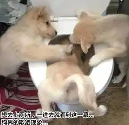 搞笑图片女生的购物日常,没毛病