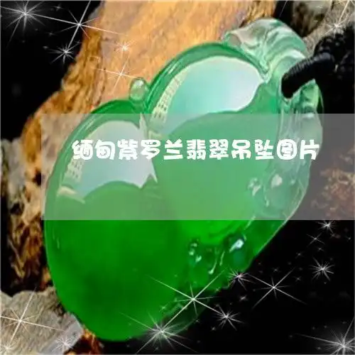 吓人缅甸紫罗兰翡翠吊坠图片缅甸紫罗兰翡翠手镯价格及图片大全今日更新中