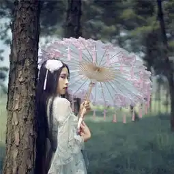 12星座专属古风流苏伞射手座是复古仙鹤,白羊座是梦幻仙女