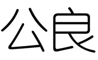 2019猪年公良姓男宝宝取名