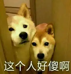 假的假的这些关于开车的网传,都是假的