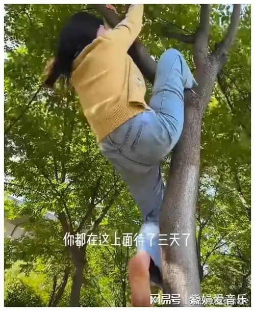 安徽远嫁女子与丈夫吵架,赤脚跑出门,独自一人爬树上眺望远方