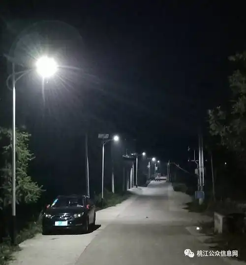 鹅公桥村的路灯亮了