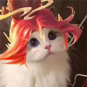 王者荣耀猫咪头像无水印大全男女英雄猫咪头像