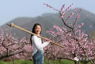 一位女摄影师的山居生活