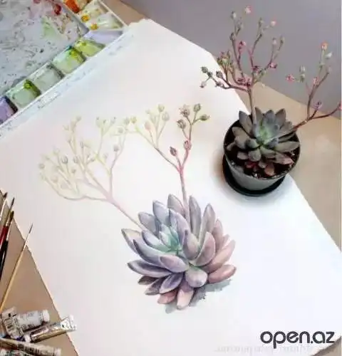我想和你,一边种,一边画