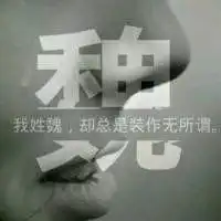 微信魏字头像微信头像图片大全