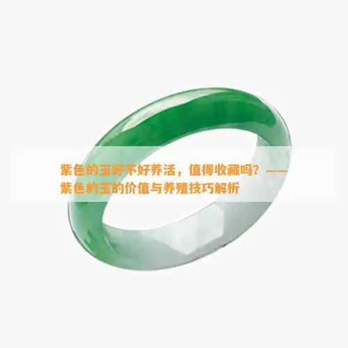 紫色玉石好不好