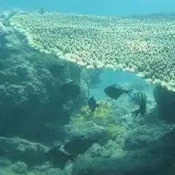 2019石梅湾加井岛门票,万宁石梅湾加井岛游玩攻略,石梅湾加井岛游览攻略路线地址门票价格