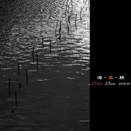 海暮桥专辑黑夜
