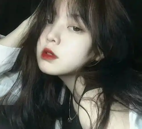无标题