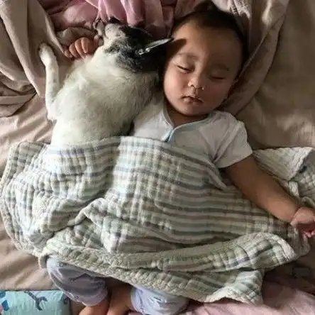 1岁儿子每次有事先叫狗,女主人吃醋我才是妈妈诶