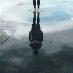 盲猴逐浪小说