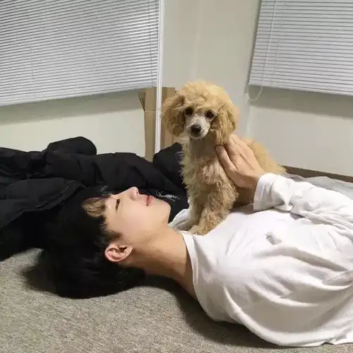 男生头像所以我离开的正好