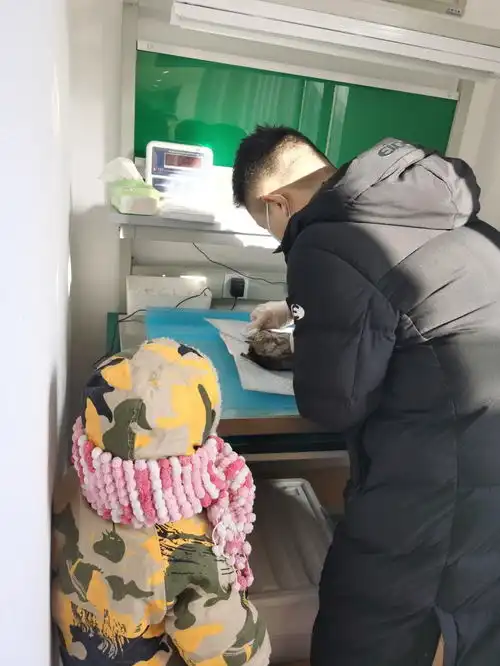 我为什么成为了一名宠物殡葬师