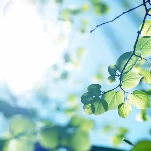文摘坚韧与幸福拥抱自己内心世界的人生智慧