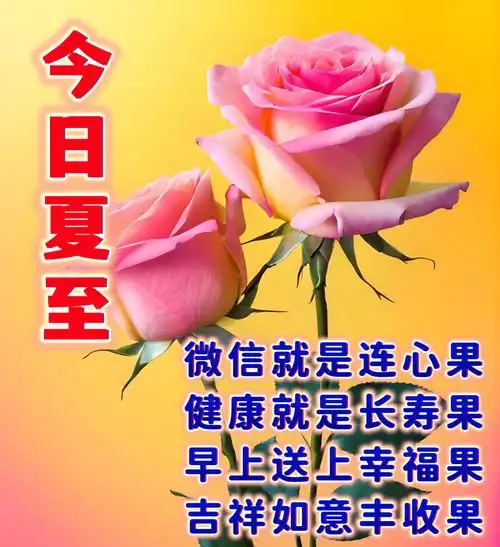 6月21日今日夏至周五早安图片祝福语愿你生如夏花,不负昭华一路平安喜乐,一路明媚芬芳,祝你夏至快乐夏至快乐早安明媚生如夏花盛夏祝福语手机网易网