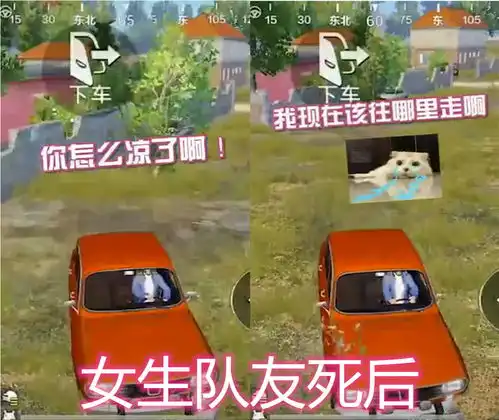 同样是吃鸡队友死后,男生对比女生反应过于真实,秀儿甘拜下风