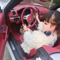 又傻又笨又没人要