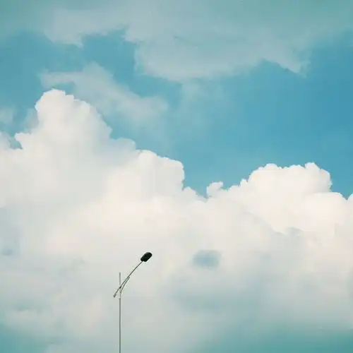 书中小摘抄天才在左疯子在右