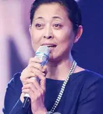 央视春晚七大美女主播情史揭秘六